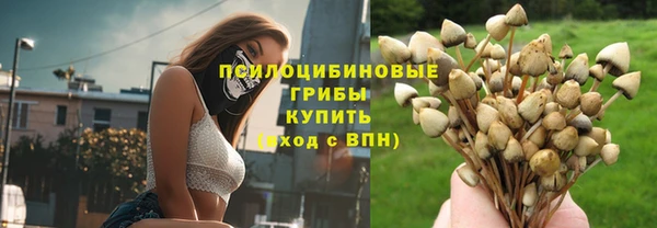 спиды Бронницы