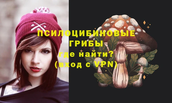 спиды Бронницы