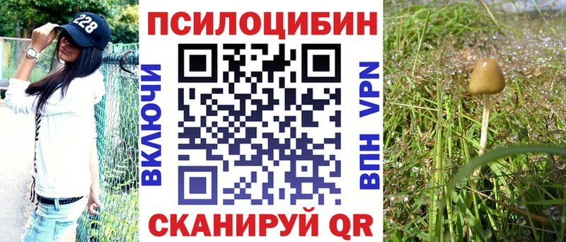Галлюциногенные грибы ЛСД  hydra ТОР  Назрань  где купить наркоту 